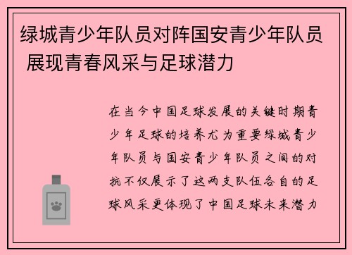 绿城青少年队员对阵国安青少年队员 展现青春风采与足球潜力